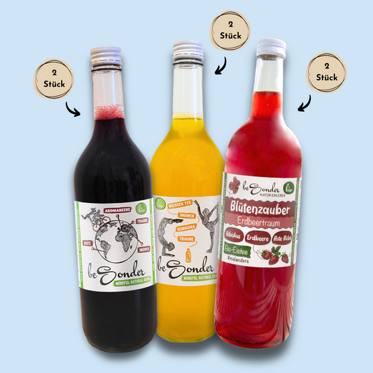 beSonder, mix, aronia, ingwer, kurkuma, erdbeere, mate, traube, eistee, bio-eistee